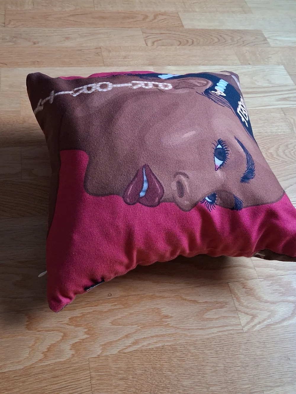 Stylish Pink Portrait Accent Pillow by